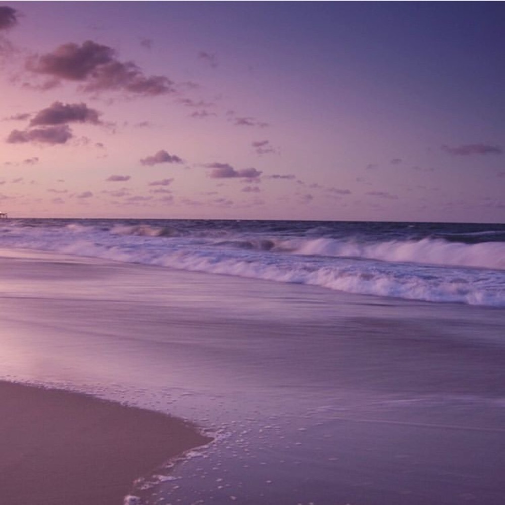 Meet your Posher, Yazmin